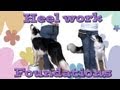 Heelwork Foundations: Clicker Dog Training Heelwork Foundations: Clicker Dog Training