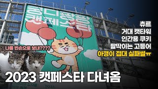 우리집에 갑자기 찾아온 아기고양이 | 2023 궁디팡팡 캣페스타  | 초보집사 꿀팁