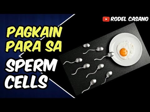 Video: Ano ang bilang ng mga cell na ginawa sa meiosis?