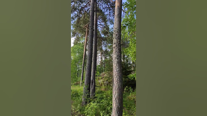 Man Summons Demons in Finnish Forest #wtf #natureshorts