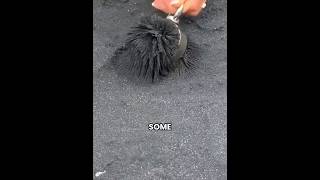 This Black Sand Beach Is Both Beautiful And Deadly 😱