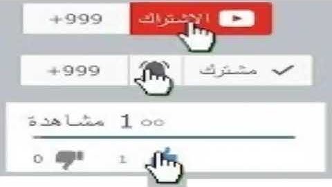تلاوة حجازية للقارئ قاسم شبلي