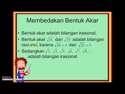 Video: Apa Itu Akar