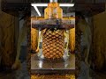 Hydraulic Press vs. Giant Pineapple! 🍍💦 #shorts