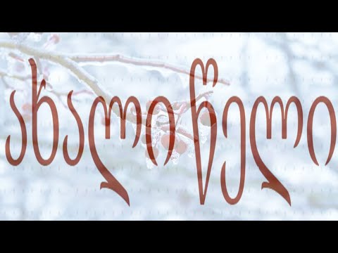 ახალი წლის მისალოცი (საჯარო ვერსია)