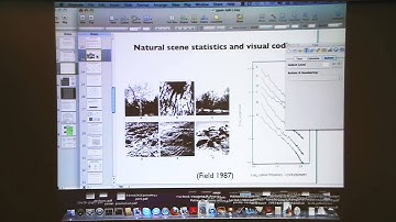 Bruno Olshausen: "From Natural Scene Statistics to Models of Neural Coding & Representation, Pt. 1"