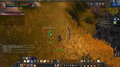 Wow Classic Damage Bug