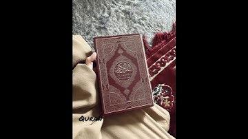 سواء عليهم استغفرت لهم ام لم تستغفر لهم لن يغفر الله لهم سورة المنافقون للقارئ اسلام صبحي 🕊️🍁🤍