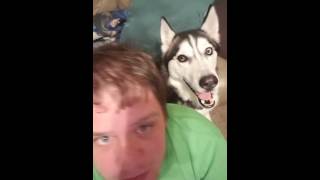 Boscoe Is Weird... 04.04.16