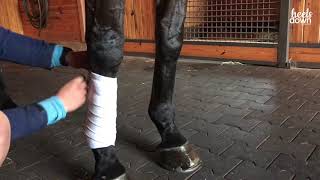 Polo Wrap a Horse's Leg the Right Way by Courtney Carson