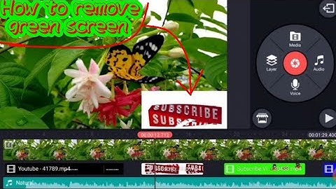 How to remove green screen Subscribe button For  Youtube | video editing using kinemaster