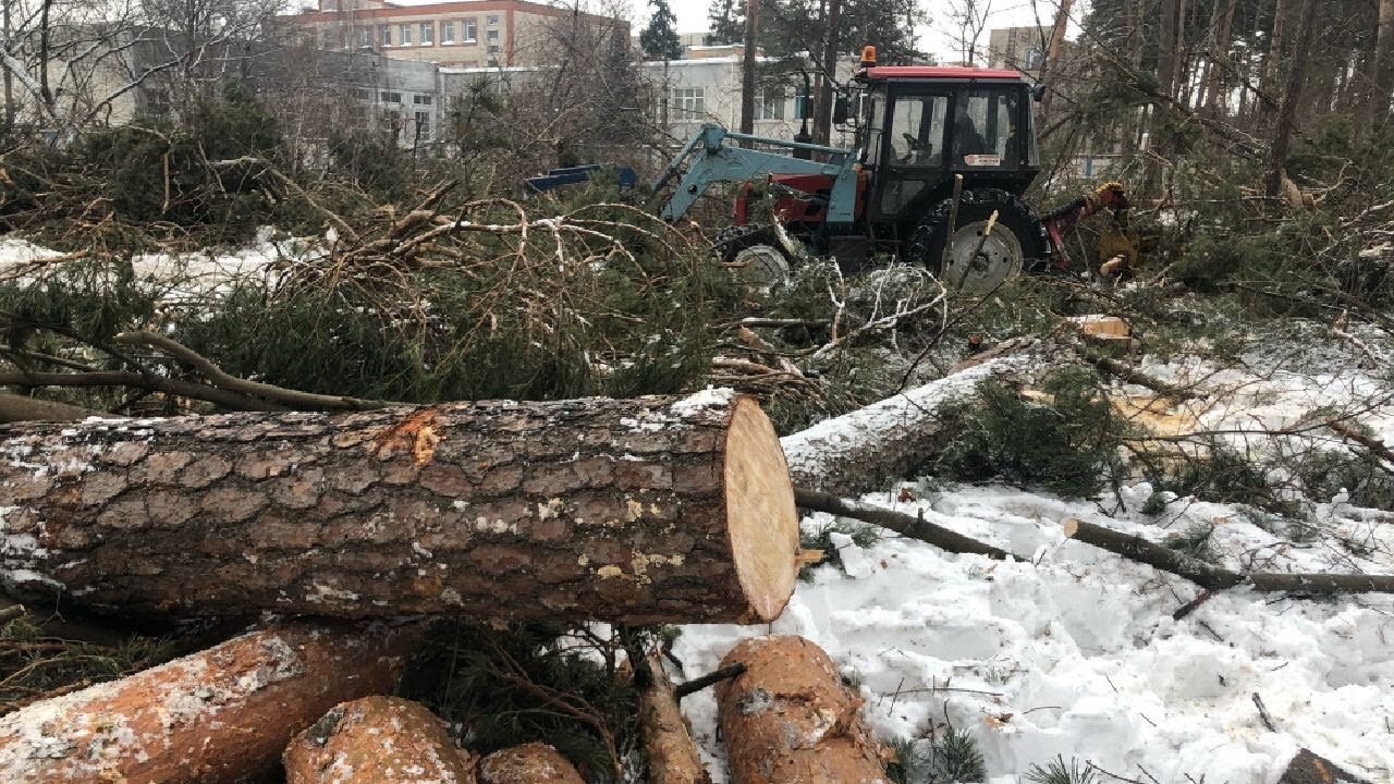 СРОЧНО⚡️Вырубка лесопарка треугольный в Жуковском.МО / LIVE 07.02.19