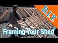 How to frame a shed: How To Build A Shed ep 9 How to frame a shed: How To Build A Shed ep 9