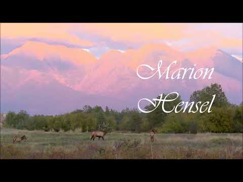 Corzito - Marion Hensel, Harfe/Flöte