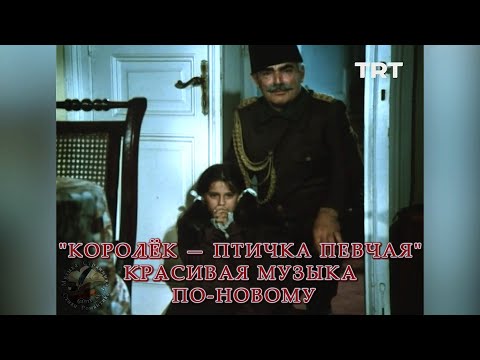 "Королёк — Птичка певчая" Красивая музыка по-новому | Музыка из турецкого фильма "Çalıkuşu" 1986 г.