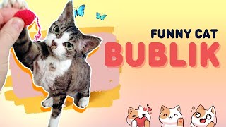 Devon rex cat and his toys by Bublik funny cat 479 views 1 year ago 4 minutes, 52 seconds