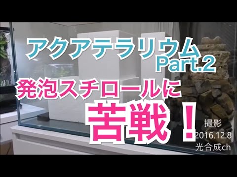 日本のアクアテラリウム水槽立上げ Part 2 Youtube