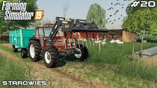 Building sheep pasture & selling silage | Starowies | Farming Simulator 2019 | Episode 20