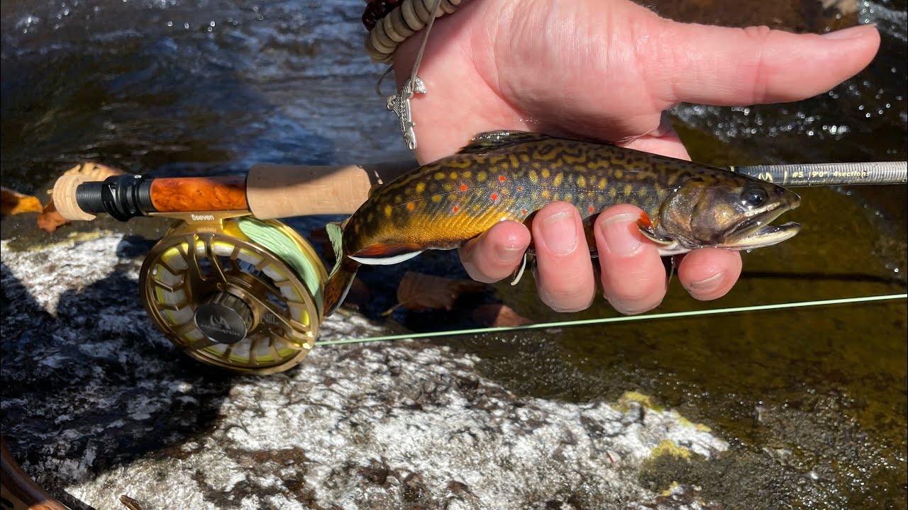 A tough day Flyfishing on the West Canada Creek NY. YouTube