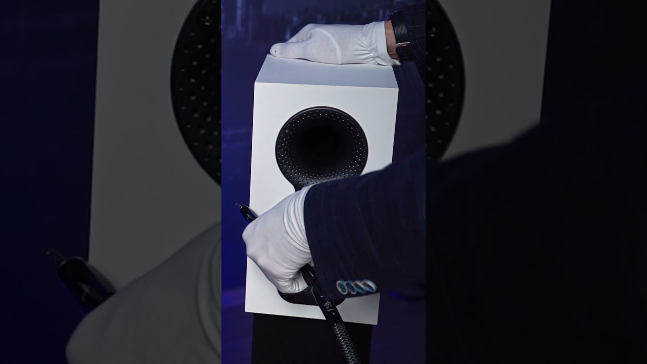 Bi - Wiring | Как подключить колонки 