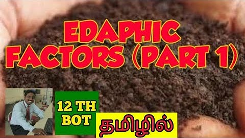 EDAPHIC FACTORS (PART 1) | TAMIL | PRINCIPLES OF ECOLOGY | TNSCERT | STD 12