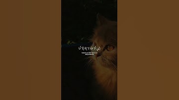 ﴿ وَأَنَا ٱخۡتَرۡتُكَ فَٱسۡتَمِعۡ لِمَا يُوحَىٰٓ ﴾ سورة طه ، أحمد خضر #ارح_قلبك #قران_كريم
