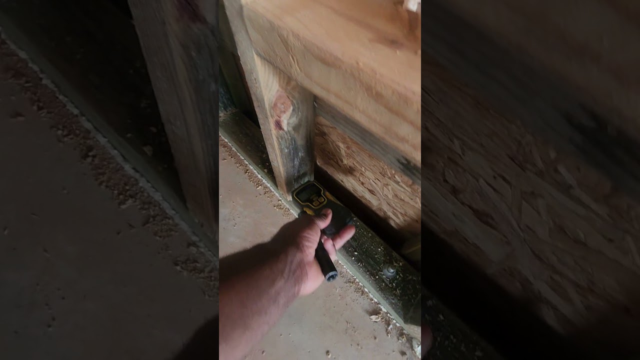 Mold  in a New Construction Pre Drywall Liberty Home. 