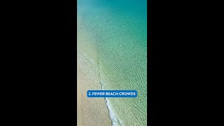 4 Reasons to Visit Pensacola in the Winter 4 Reasons to Visit Pensacola in the Winter