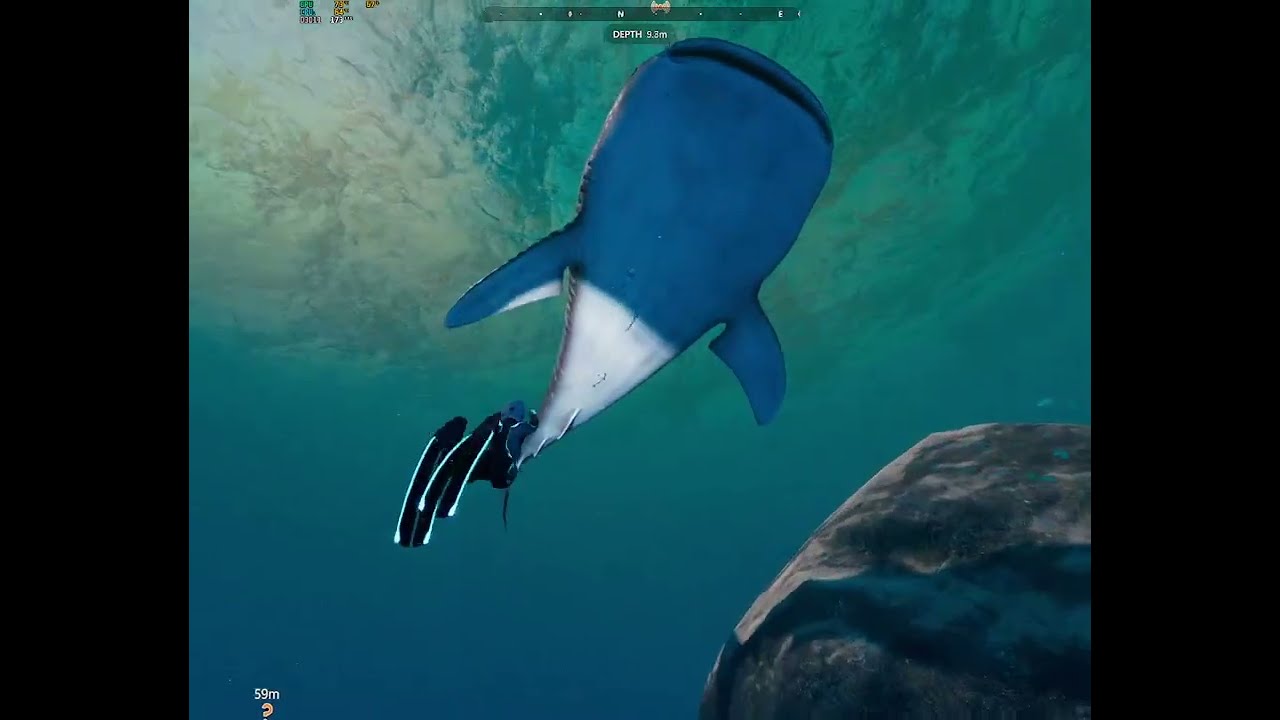 Beyond Blue | Part I 