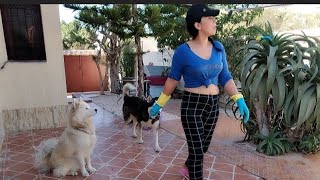 Video du jour jardinage🎋💋💋❤️