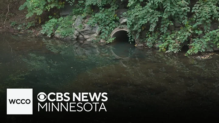 Concerns growing over sewage contaminating U.S. rivers and creeks