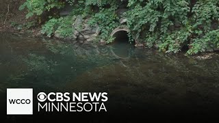 Celebrity Concerns growing over sewage contaminating U.S. rivers and creeks Profile