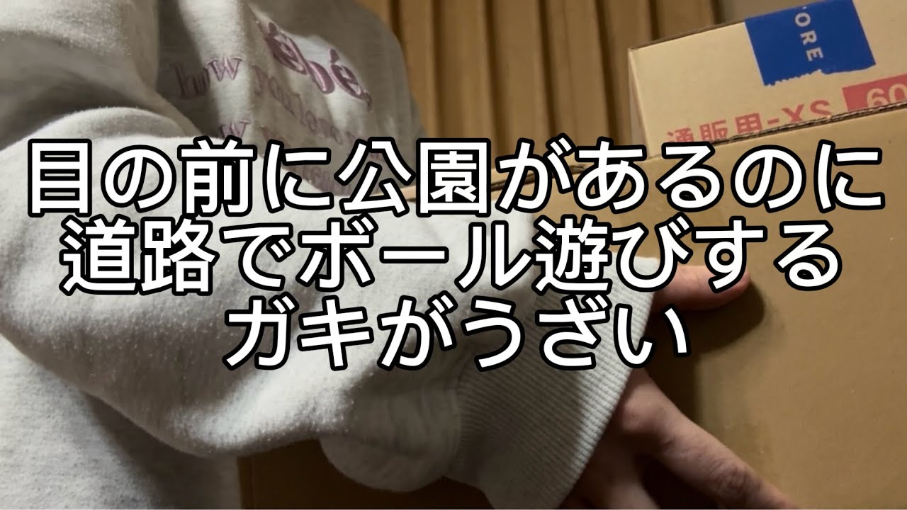 道路で遊ぶ子どもが嫌い。雨の日ぐらい家でゲームしろ。