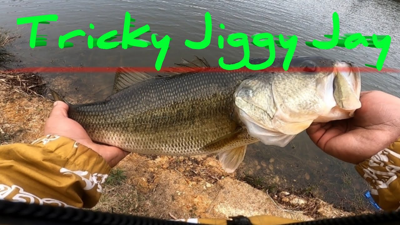 Winter Fishing With Spinner Bait