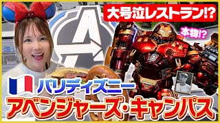 【パリディズニー】アベンジャーズキャンパス完全制覇！マーベル好きは見て！大号泣レストランがあった…