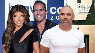 Teresa Giudice claims Luis Ruelas lost $250K in Joe Gorga business deal | Page Six Celebrity News