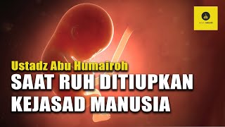 INILAH PROSES DIMANA RUH DITIUPKAN KE JASAD MANUSIA - USTADZ ABU HUMAIROH