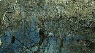 Education Counts Michiana - Teaching Like A Park Ranger