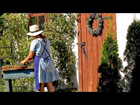 Warm Cozy Home at the End of Summer | Simple and Slow Living | Apple Pancakes | Garden Decor