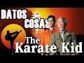 Los 10 datos o cosas sobre Karate Kid que probablemente desconocías