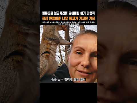 벌목으로 보금자리를 잃은 아기 다람쥐, 직접 만든 나무 둥지가 가져온 기적 thumbnail