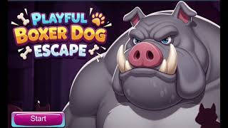 G4K  Playful boxer dog escape  walkthrough - games4king screenshot 4
