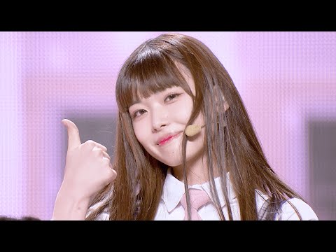 推しカメラ┊加藤神楽（KATO KAGURA）✧︎ 乃木坂46 ♫ 制服のマネキン ✧ 1組 [グループバトル]