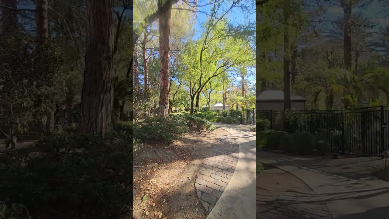 Golden Light Zen Walk at JW Marriott 🌅 Calm Paths & Reflections