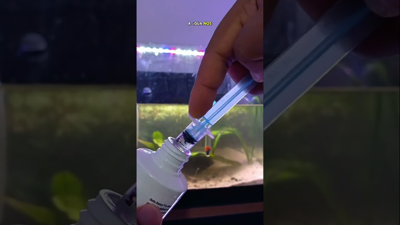 Aquário do Betto em Apuros? Solução com Betta Basics da @seachem_brasil