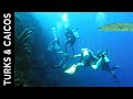 Providenciales, Turks and Caicos - Part V - The Dive