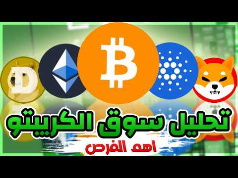 بث مباشر - شو هي أفضل خطة استثمار للعملات الرقمية للبول ماركت القادم ؟