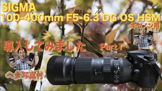 SIGMA100-400mm F5-6.3 DG OS HSM導入してみました(その1)・へた写真付き