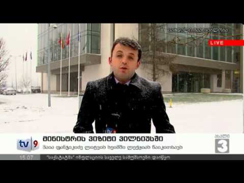 ახალი 3 | მინისტრი ვილნიუსში | 10.01.13