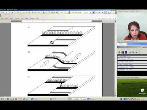 ია შენგელია, ზოგადი სეისმოლოგია 2,1-1